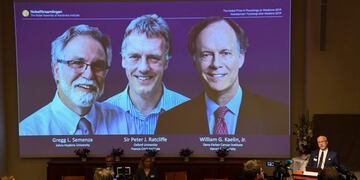 Los galardonados con el Nobel de Medicina de 2019\u002E Foto: NACKSTRAND/AFP\u002E