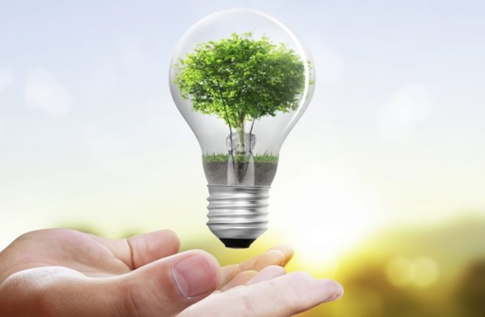 Loma Blanca: el parque eólico chubutense que dotará al país de energía renovable