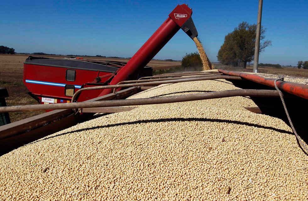 El Gobierno dispondrá una rebaja mensual de 0,5% de retenciones al agro a partir de 2018