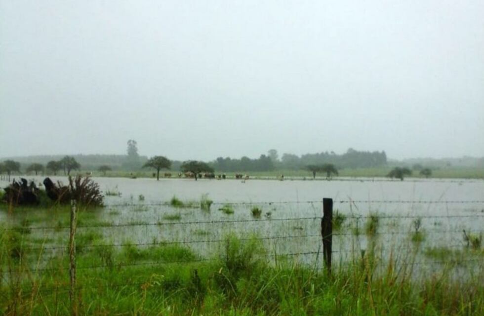 Piden declarar zona de emergencia a la región norte y litoral del país