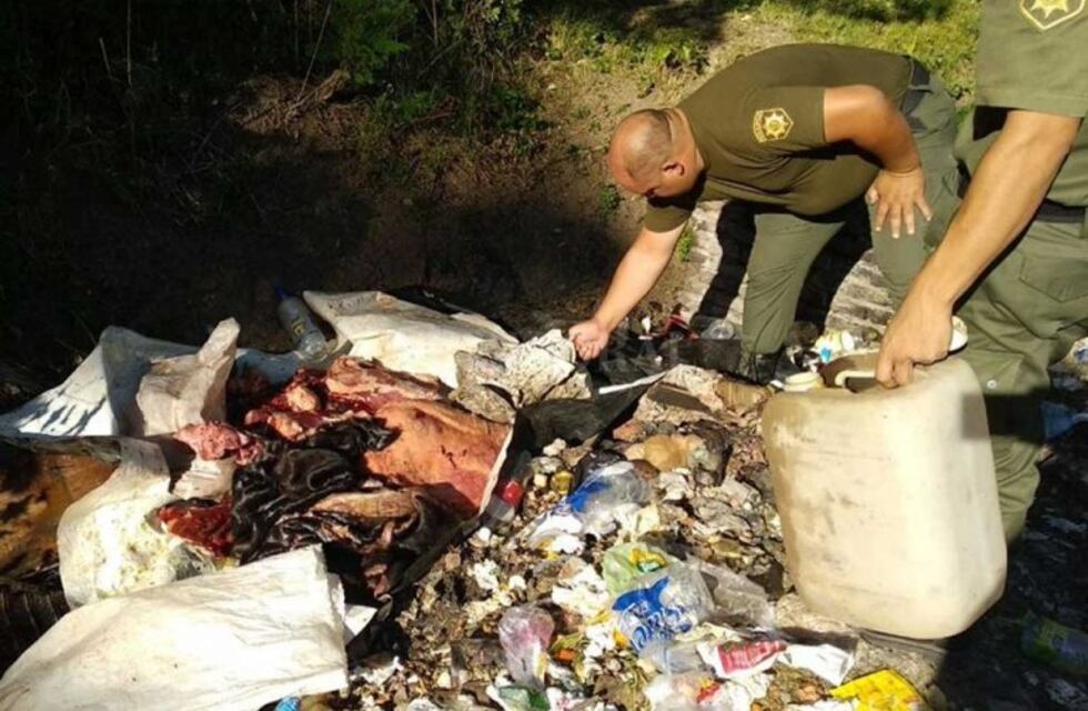 Siete detenidos por robar vacas de un campo del presidente de Colón