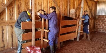 Análisis de animales de pequeños productores en Misiones\u002E (Misiones Online)