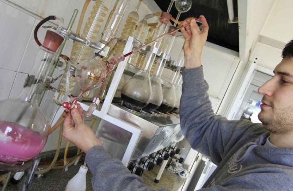 Efecto crisis: San Juan es donde más bodegas dejaron de elaborar