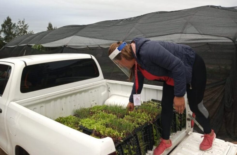 Invitan a los riojanos a tener sus propias huertas