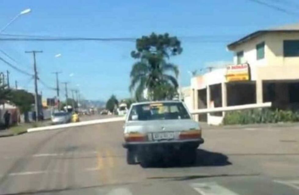 Compró un caño en la ferretería y no te imaginás cómo lo llevó