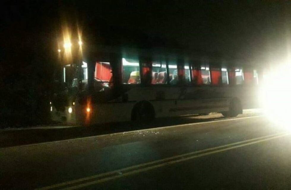 Un caballo muerto tras ser impactado por un colectivo cerca de Las Jarillas