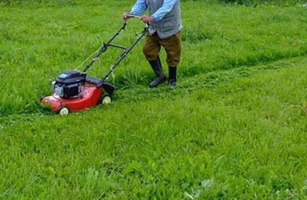Armó su tarjeta a mano y salió a buscar trabajo casa por casa