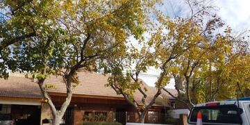 La familia Bofinger sufrió un violento robo\u002E