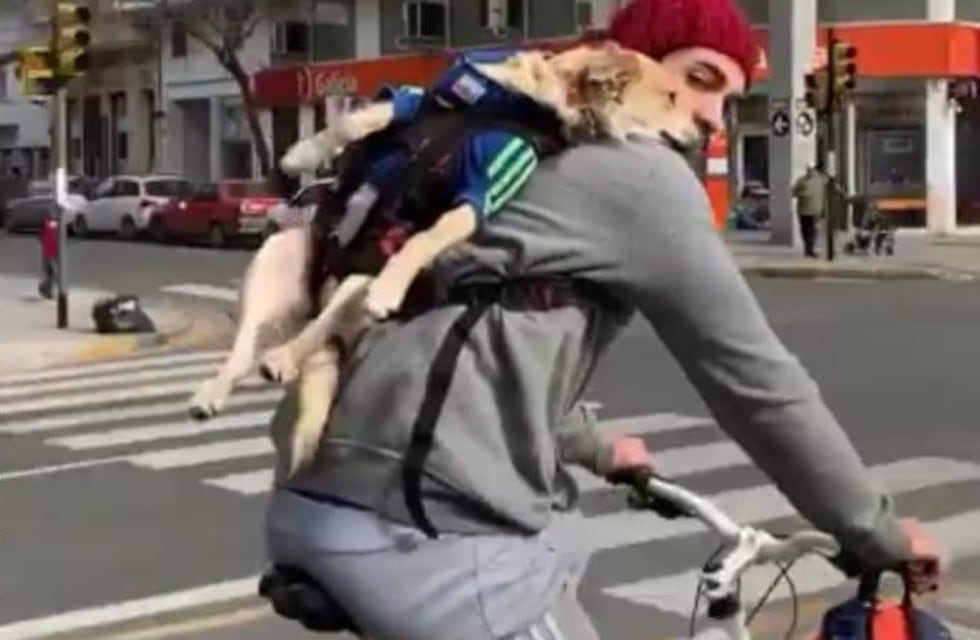 Pablo Granados registró el tierno traslado de una mascota por parte de un ciclista