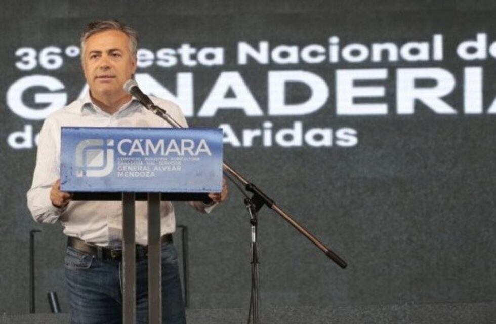 Cornejo: "Esperamos con ansiedad el arbitraje del presidente sobre Portezuelo del Viento"