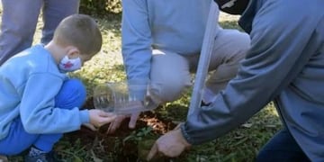 Montecarlo: continúan plantando árboles en el marco del Centenario