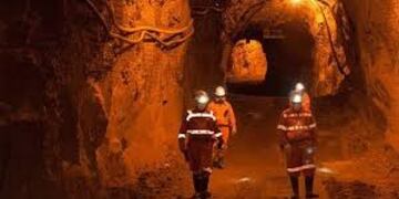 Coronavirus: Cerro Vanguardia paralizó sus operaciones por 10 días