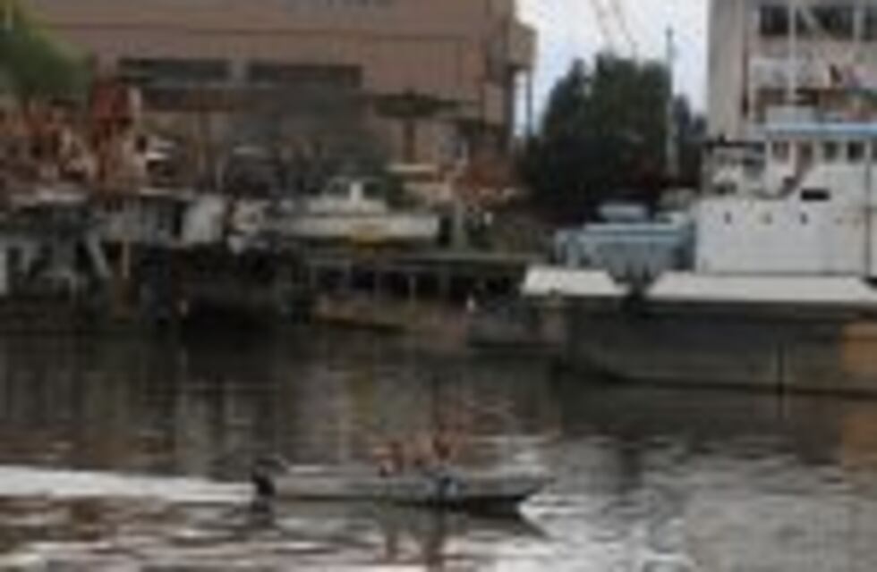 Autoridades reconocieron que se cumplió sólo con un 20% del saneamiento del riachuelo