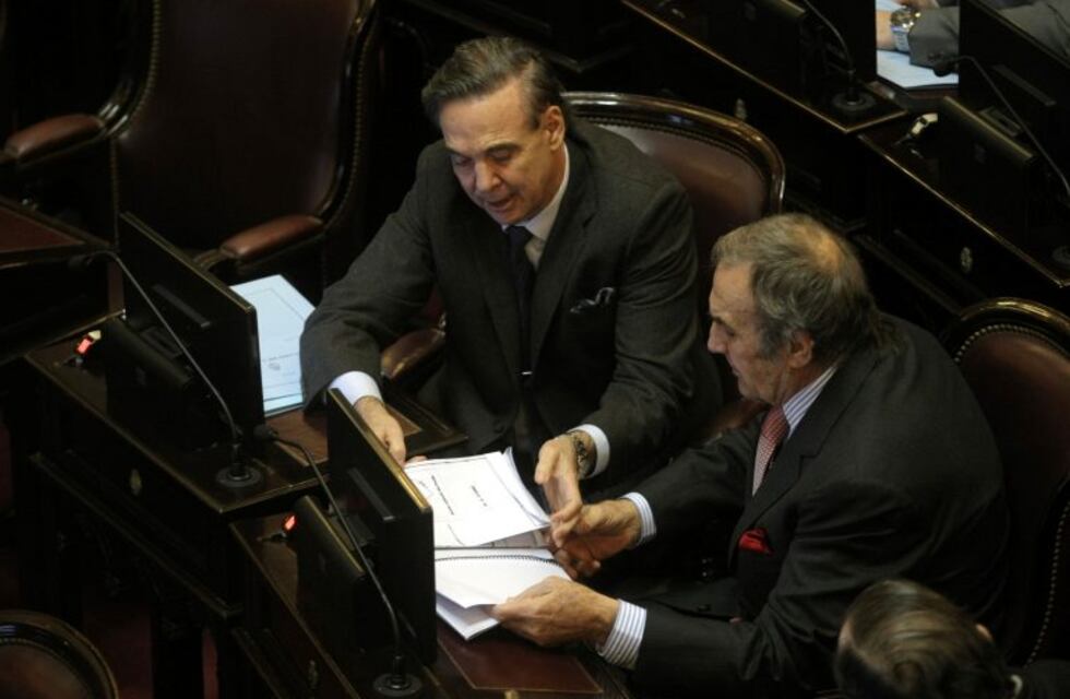 Los senadores Reutemann y Perotti deberán pronunciarse sobre el proyecto del aborto