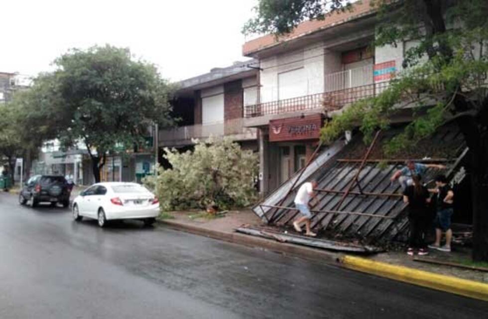 Árboles, carteles y toldos caídos tras el temporal en San Lorenzo