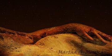 Marta Moreshi premiada en Turquía