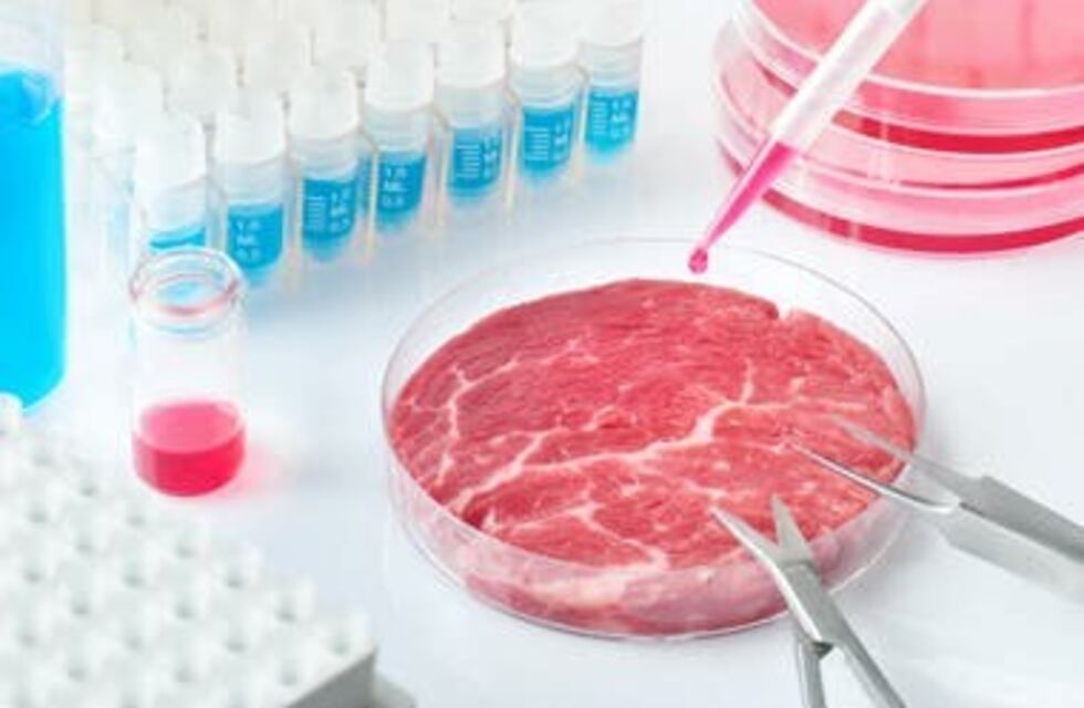 Carne artificial: qué es y de qué está hecha la posible futura competencia de la convencional