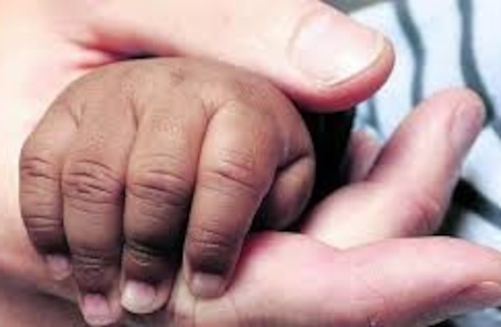 Charla informativa para interesados en adoptar