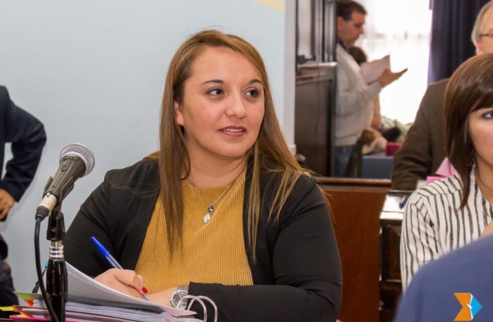 Freites repasó la actividad parlamentaria de las últimas semanas