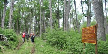 Caminata por sendero (web)