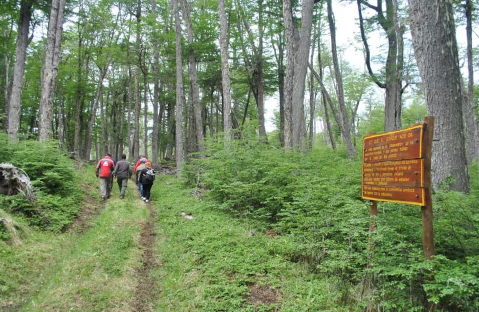 Tolhuin: se realizará una caminata al Cerro Atukoyak