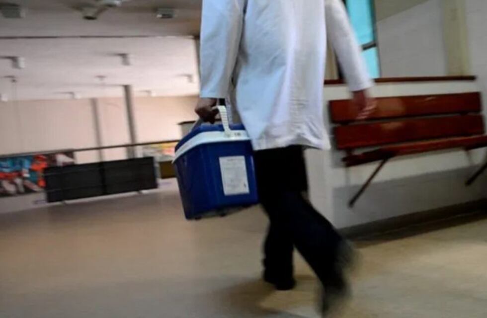 Sin precedentes: récord de donantes en 2019