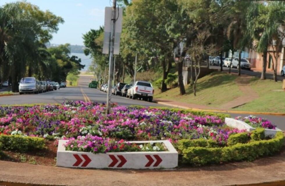 Procesaron las ramas de la poda y las usaron en espacios verdes de Posadas