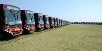 Presentan nuevos colectivos\u002E