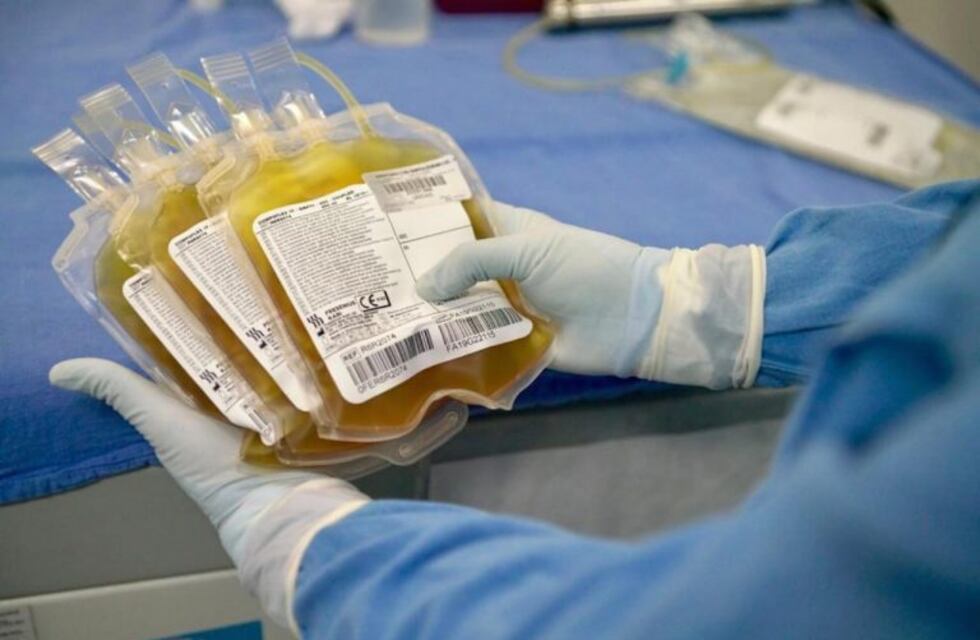 Coronavirus en Salta: de los 600 recuperados solo 15 donaron plasma