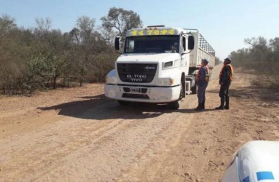 Productores Forestales afirman que se encuentran retenidos por decisiones judiciales malintencionadas