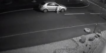 Video: la desoladora reacción de un perro al ser abandonado por su dueño