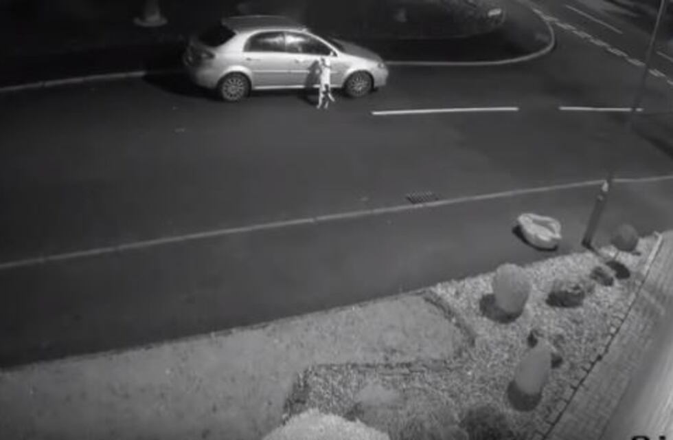 La devastadora reacción de un perro al ser abandonado por su dueño