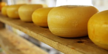 Curiosidades del queso