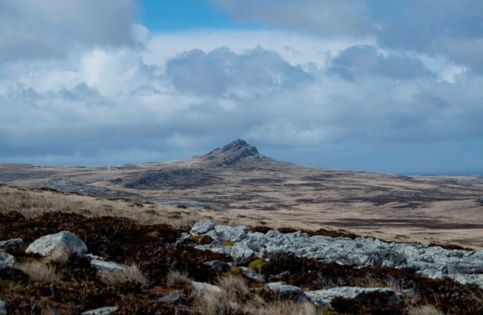 Coronel Moldes: le robaron su medalla a veterano de Malvinas