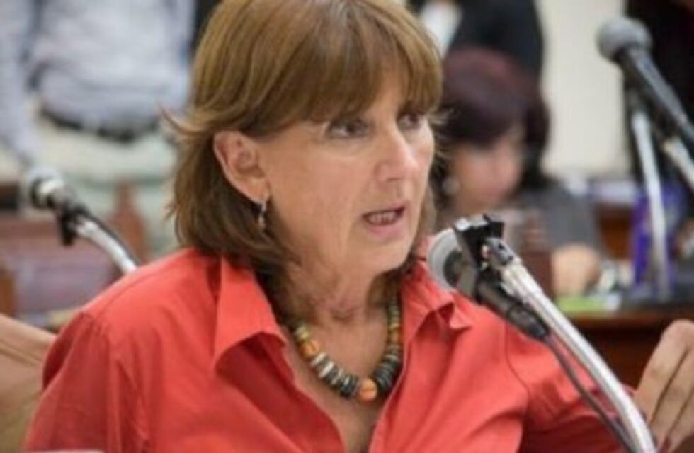 Virginia Cornejo le salió al cruce al gobernador Gustavo Sáenz