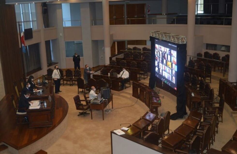 La Legislatura provincial realizó la primera sesión virtual de su historia