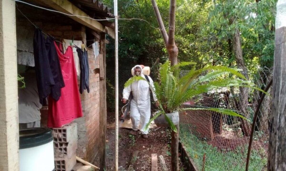 15 casos confirmados de dengue en Montecarlo