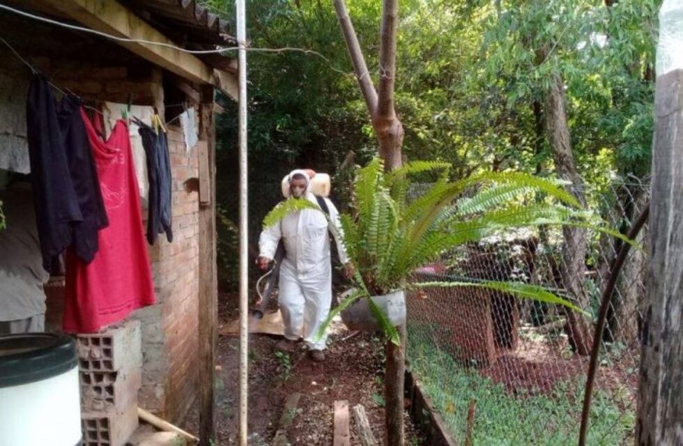 15 casos confirmados de dengue en Montecarlo