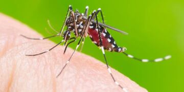 Dengue y mapas de fumigación