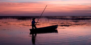 Los Esteros del Iberá