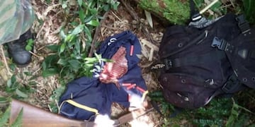 Caza furtiva: guardaparques detuvieron a un cazador dentro del Parque Iguazú