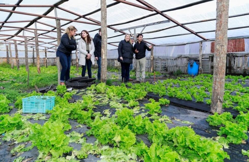 El INTA dictará la capacitación "Buenas prácticas agrícolas"