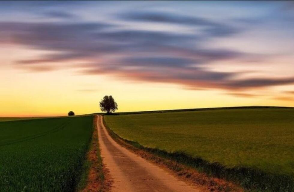 La columna literaria de Magdalena Giorgio