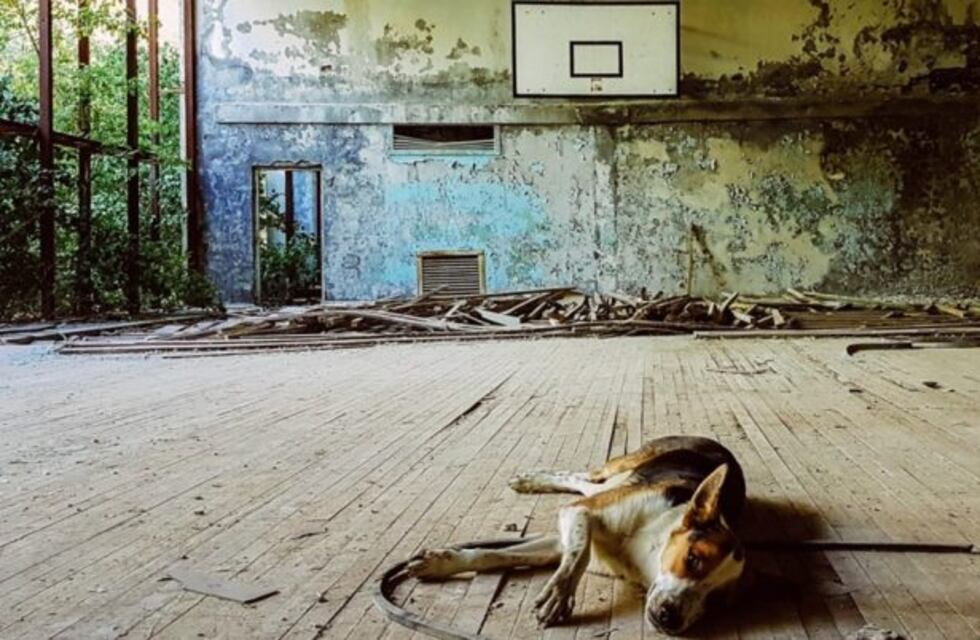 Una mirada a Chernobyl, en la Facultad de Lenguas