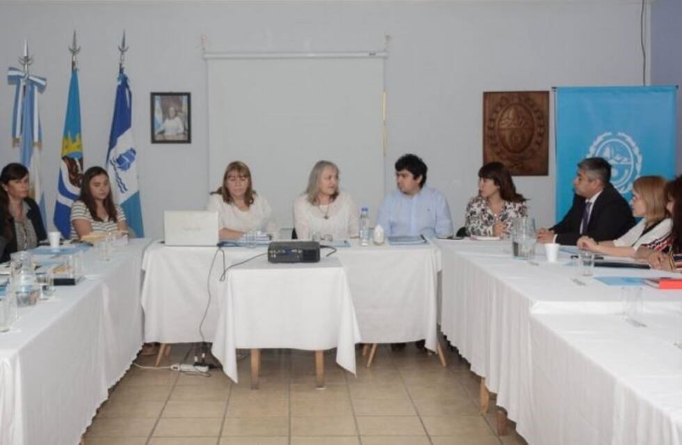 Sesiona el Consejo Provincial de Niñez, Adolescencia y Familia