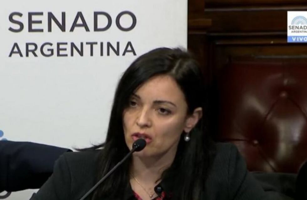 Aborto: Expuso en el Senado la médica que asegura que en La Rioja no hay muertes desde el 2013
