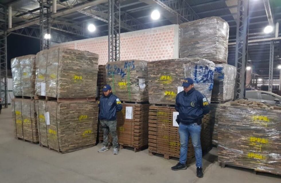 Detuvieron a una banda dedicada a la tala de especies en peligro de extinción para exportar a China