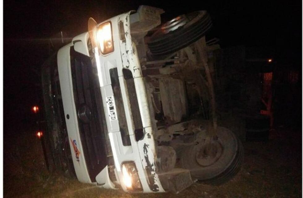 Un camión volcó por esquivar a dos animales sueltos en la ruta 89