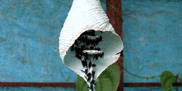 El ataque ocurrió este  miércoles en horas de la tarde\u002E