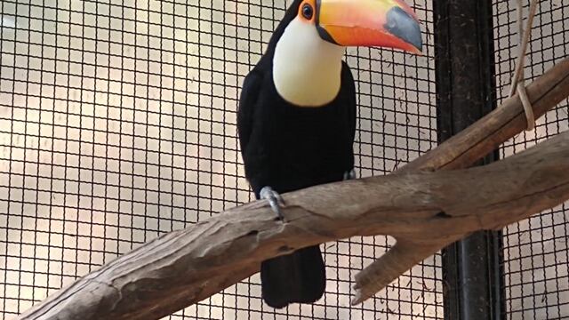 Ecoparque mendoza